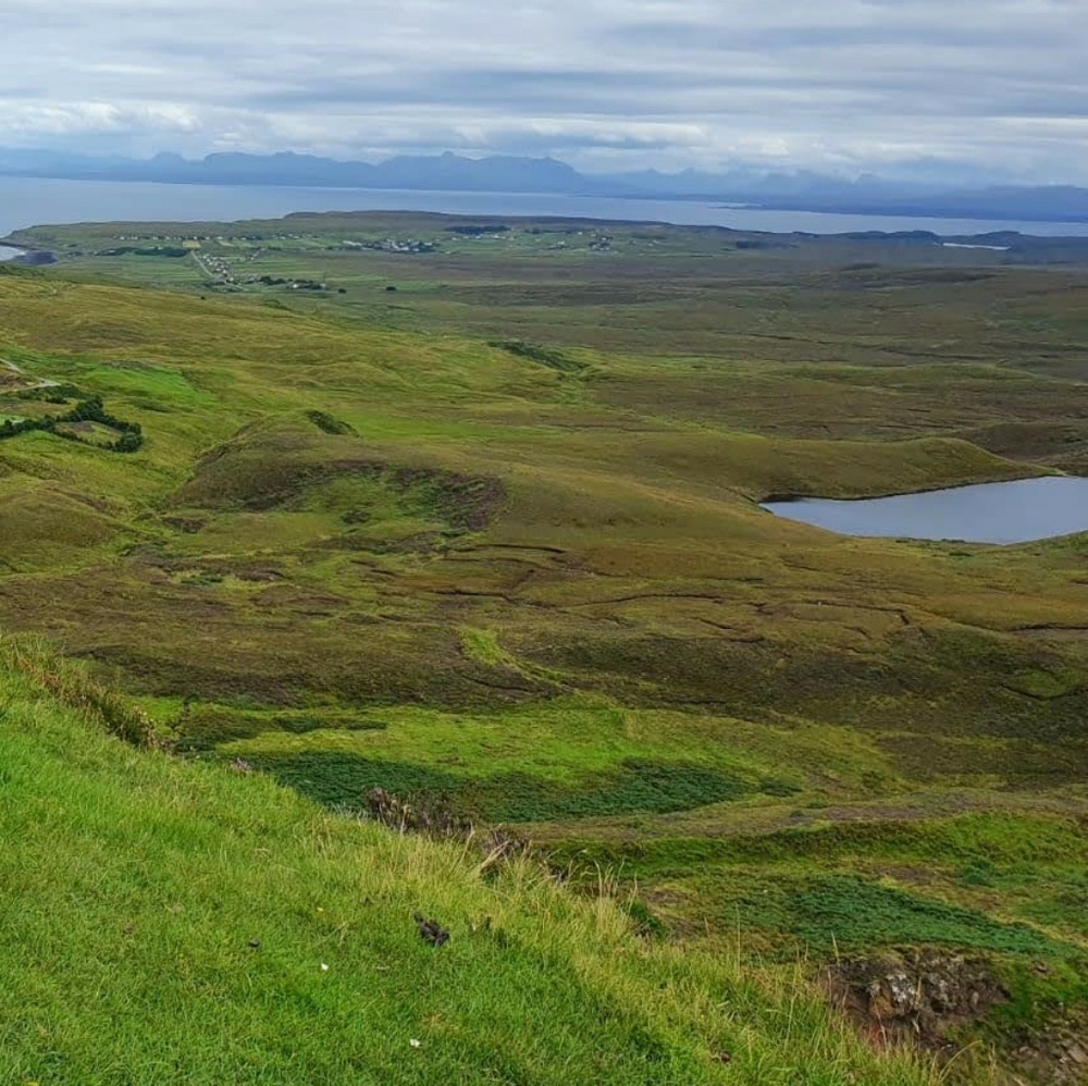 Meet your Posher, Shevi